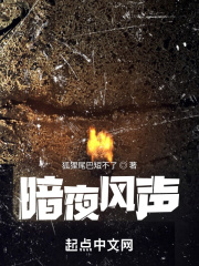 暗夜風聲