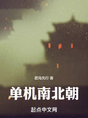 單機南北朝