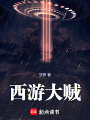 西遊大賊