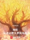 海賊：從選定羅賓做神人開始