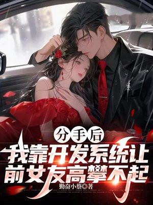 分手後，我靠開發係統讓前女友高攀不起