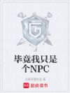 畢竟我隻是個NPC